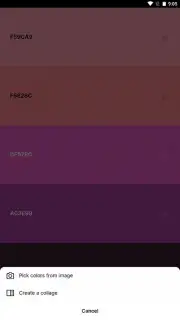 Coolors capture 7