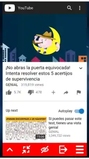 MiniTube capture 3