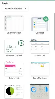 Microsoft Excel capture 1