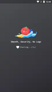 VPN Tomato capture 6