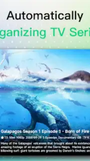 VidHub capture 10