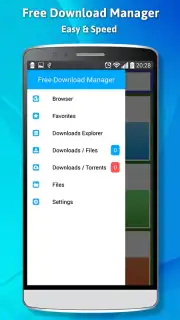 Free Download Manager capture 5