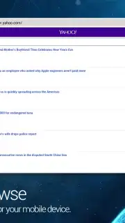 iJoysoft Web Browser capture 8