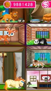 Pet Hotel capture 2