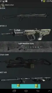 Gun Camera capture 4