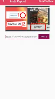 Advanced Downloader capture 10