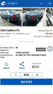 Copart capture 8