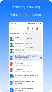 File Search capture 4