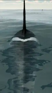 Orca Simulator capture 5