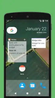 Notes (Turist) capture 4