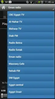 Egyptian Radio capture 2