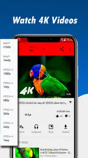 Fast Youtube Downloader capture 8