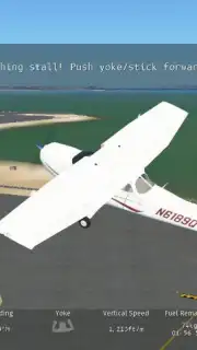 Infinite Flight capture 7