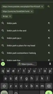 YTDLnis capture 9