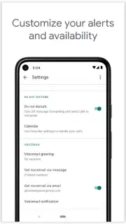 Google Voice capture 1