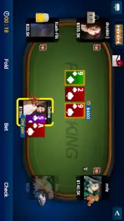 PokerKinG Pro capture 4