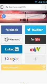 Next Browser capture 3