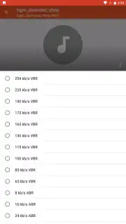 Audio Converter capture 8