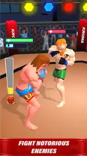 MMA Legends capture 4