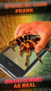 Паук в Камере Пранк capture 3