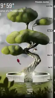 Weatherwise capture 2