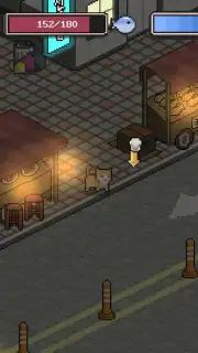 A Street Cat capture 10