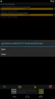 Download Manager capture 2