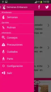 Semanas Embarazo capture 2