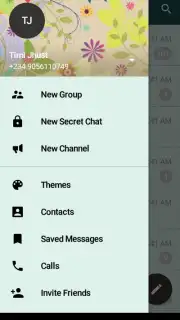 Messenger Plus capture 4