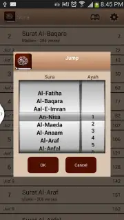 Quran Karim capture 6