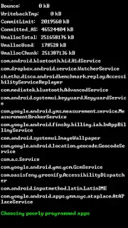 Root Booster capture 7