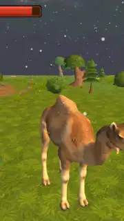 Camel Simulator capture 4