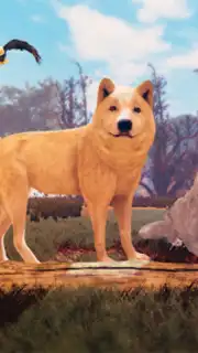 The Wild Wolf Animal Simulator capture 2