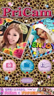 PriCam capture 4