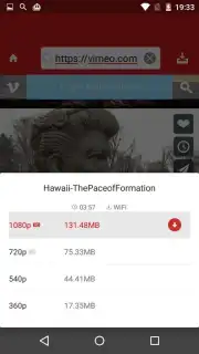 Paris Video Downloader capture 6