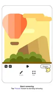 Video Object Watermark Remover capture 2