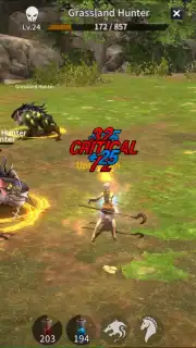 Rebirth Online capture 2