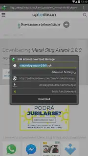 IDM capture 2