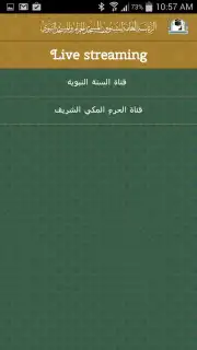 Al-Haramain capture 4