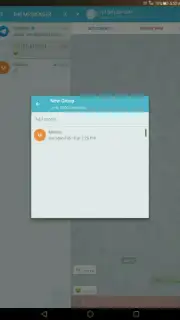 THE MESSENGER capture 2