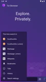 Tor Browser capture 4
