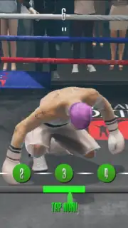 Real Boxing 2 capture 9