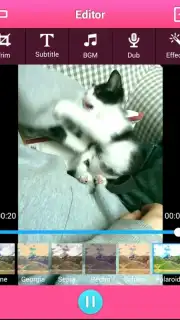 VideoShow capture 5