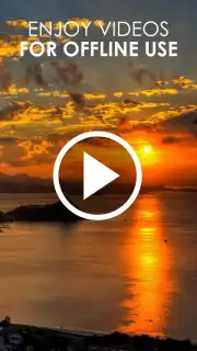 HD Video Downloader Free capture 1