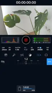 Blackmagic Camera capture 6
