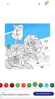 Zen Color capture 12