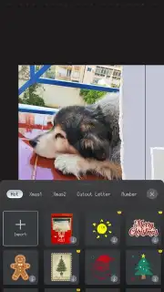 ProCCD capture 7