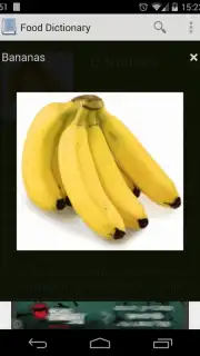 Food Dictionary capture 2