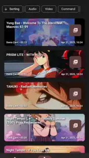 YTDLnis capture 3