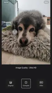Wink capture 1